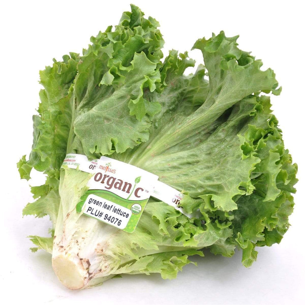 https://www.melissas.com/cdn/shop/products/image-of-organic-leaf-lettuce-organics-28034294906924_1024x1024.jpg?v=1628107048