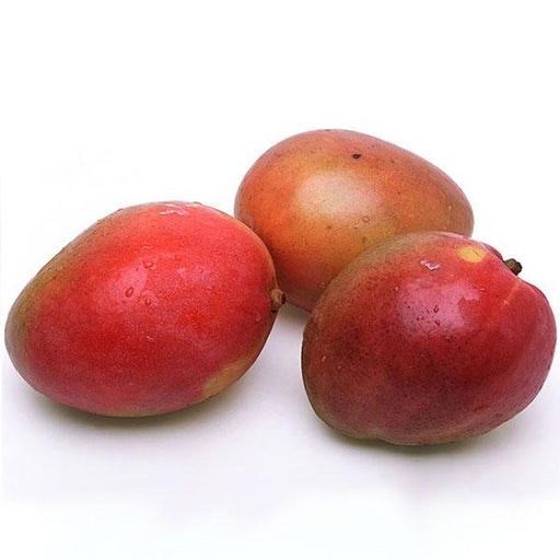 Image of  Organic Mango Fruit
