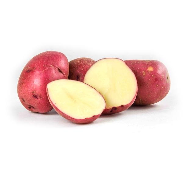 Image of  Organic Red Potatoes Vegetables