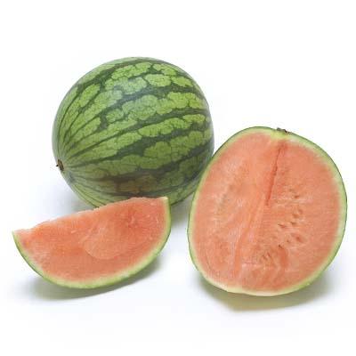 Organic Orange Flesh Honeydew Melons — Melissas Produce