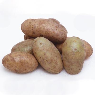 Image of  Organic Russet Potatoes Vegetables