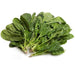 Image of  Organic Spinach Organics