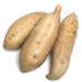 Image of  Organic Sweet Potatoes Vegetables