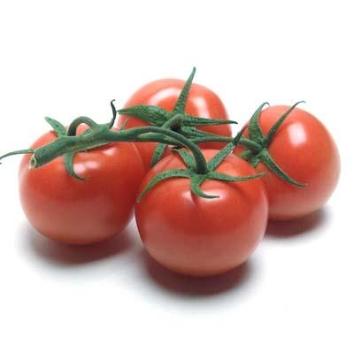 Image of  Organic Tomatoes on the Vine Fruit