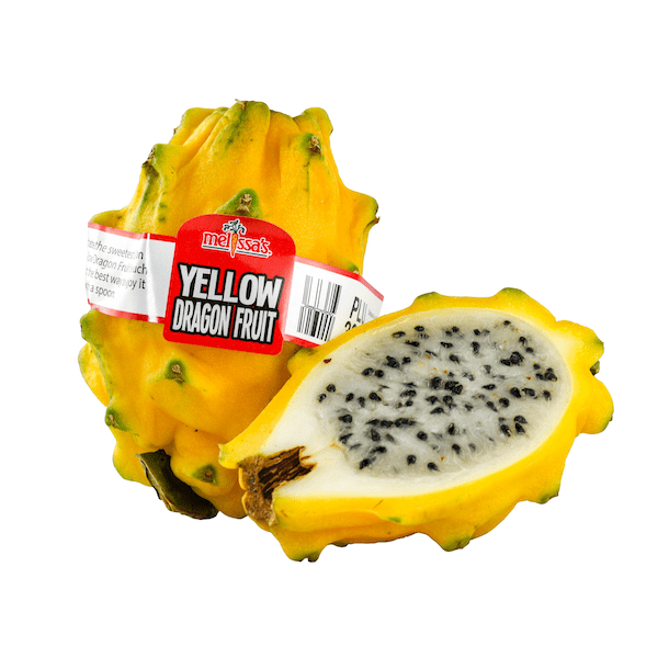 Image of  Organic Yellow Dragon Fruit Fruit