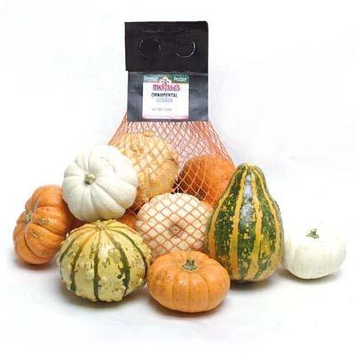 Image of  Ornamental Gourds Other