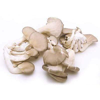 Image of  Oyster Mushrooms Vegetables