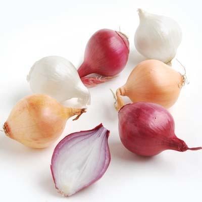 Pearl Onions 12/2.5# - Feesers