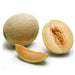Image of  Persian Melon Fruit