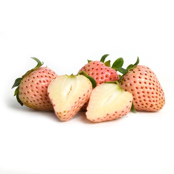 Image of  Pineberries (White Strawberries) Fruit