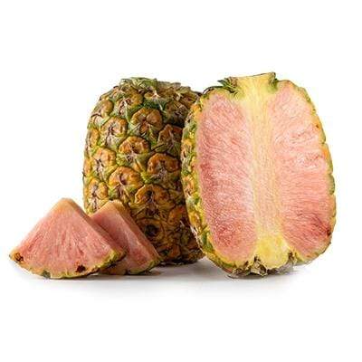 2 CUP CONTAINER (2 pack) - Pink Pineapple