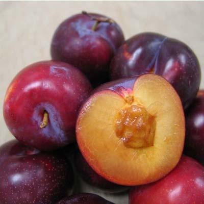 Image of  Plums Fruit