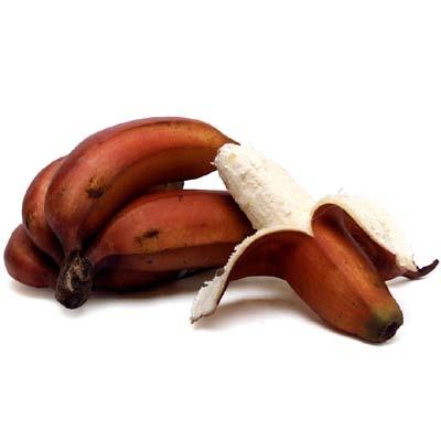 Image of  Red Bananas Fruit