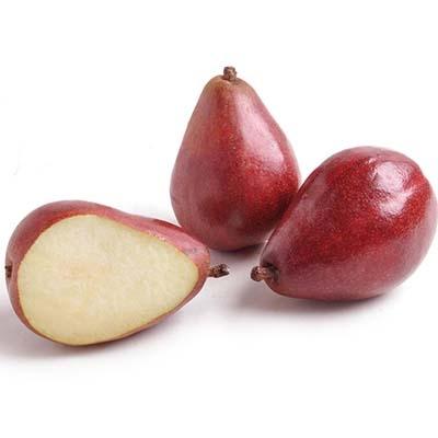 Image of  Red D'Anjou Pears Fruit