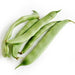 Image of  Romano Beans Other