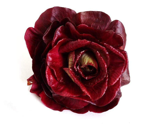 Image of  Rosa di Padova Radicchio (Italian) Vegetables