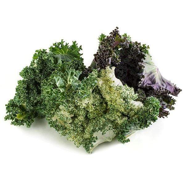 Image of  Salad Savoy Vegetables
