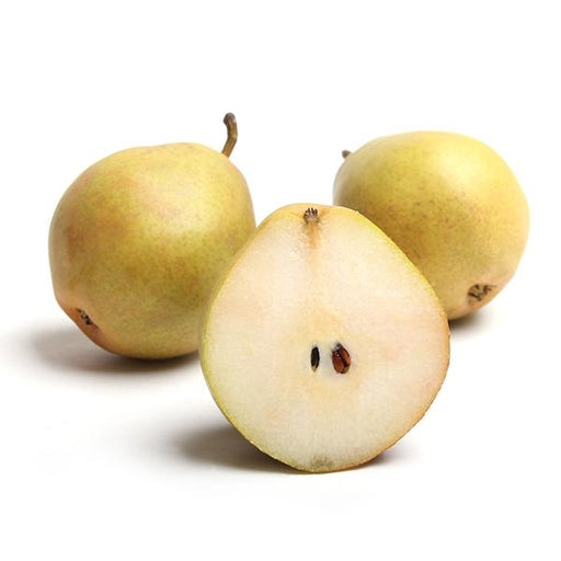 Image of  Seckle Pears Fruit