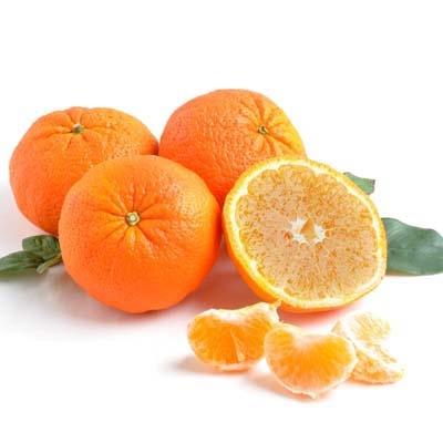 Image of  Shasta Gold Tangerines Fruit