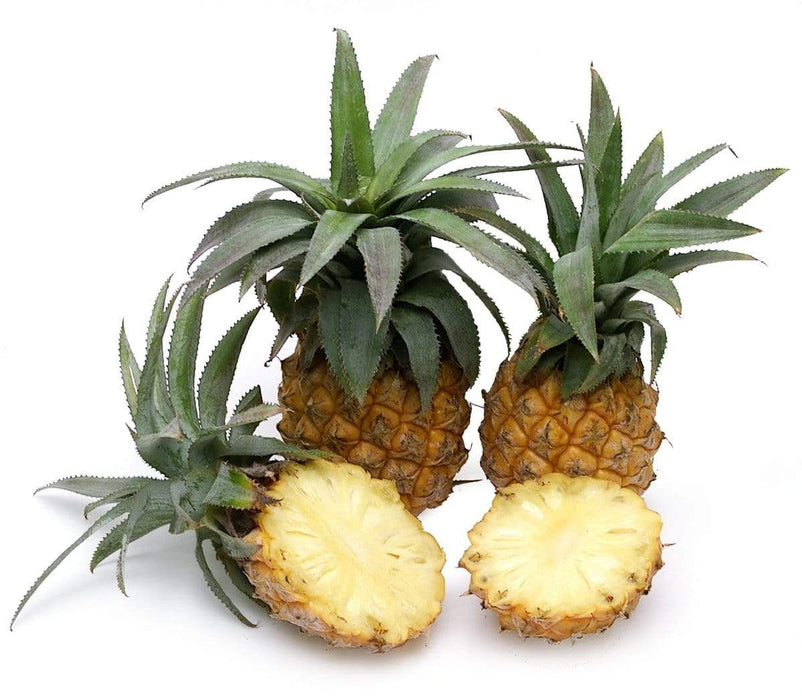 Image of  South African Baby Pineapples Fruit