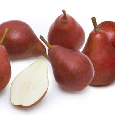Image of  Starkrimson Pears Fruit