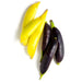 Image of  Sugar Snap Peas (Yellow and Purple) Vegetables