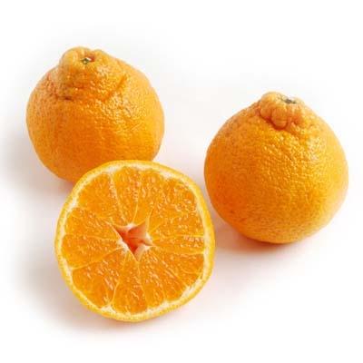 Sumo Citrus® Information and Facts