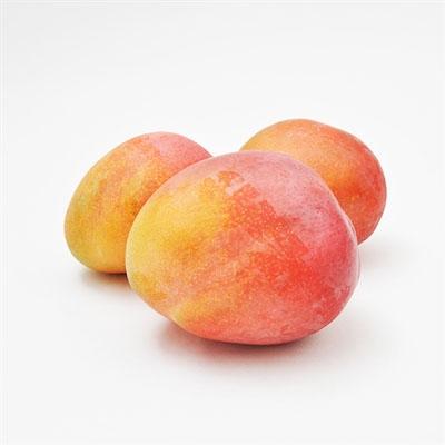 Image of  Tree Ripened Mangos Fruit