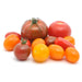 Image of  True Rebel Mix™ Tomatoes Fruit