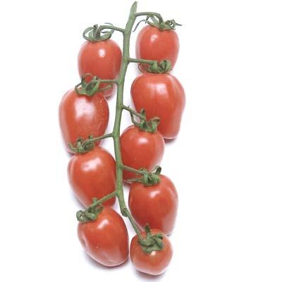 Image of  Vine Sweet Strawberry Tomatoes Fruit