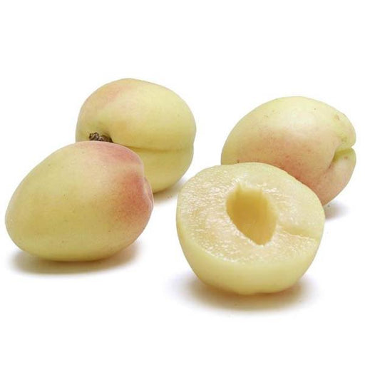 Image of  White Apricots Fruit