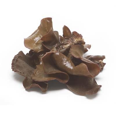 Image of  Wood Ear Mushrooms Vegetables